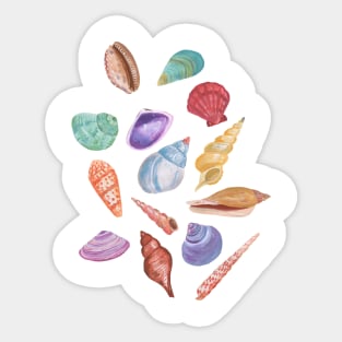 Sea Shells Sticker